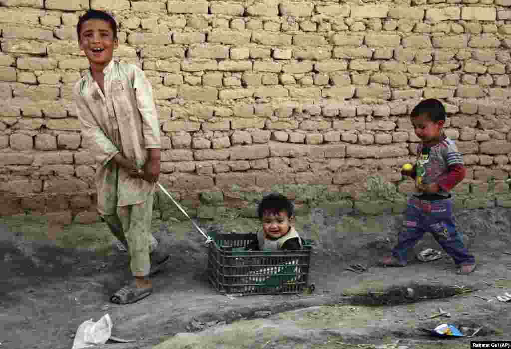 An Afghan boy pulls his little brother in a basket on the outskirts of Kabul. (AP/Rahmat Gul)