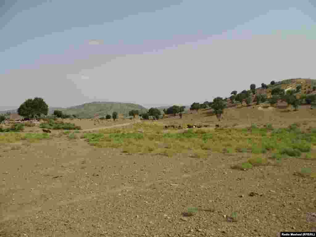 Pakistan -- Aids (assistances) with immigrants of Waziristan, 18 June 2014