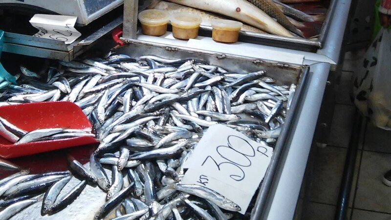 Письма крымчан: Для нас хамса всех рыб вкусней на свете