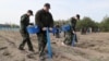 Лукашэнка з сынам Мікалаем садзіць дрэвы ў аграгарадку Ляскавічы Петрыкаўскага раёна падчас суботніку, 25 красавіка