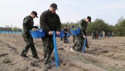 Лукашенко під час суботника (фото пресслужби президента Білорусі)