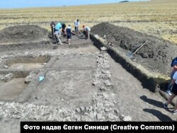 Археологічні розкопки на околиці села Комарова (Комарів), на поселенні Бузовиця. Чернівецька область