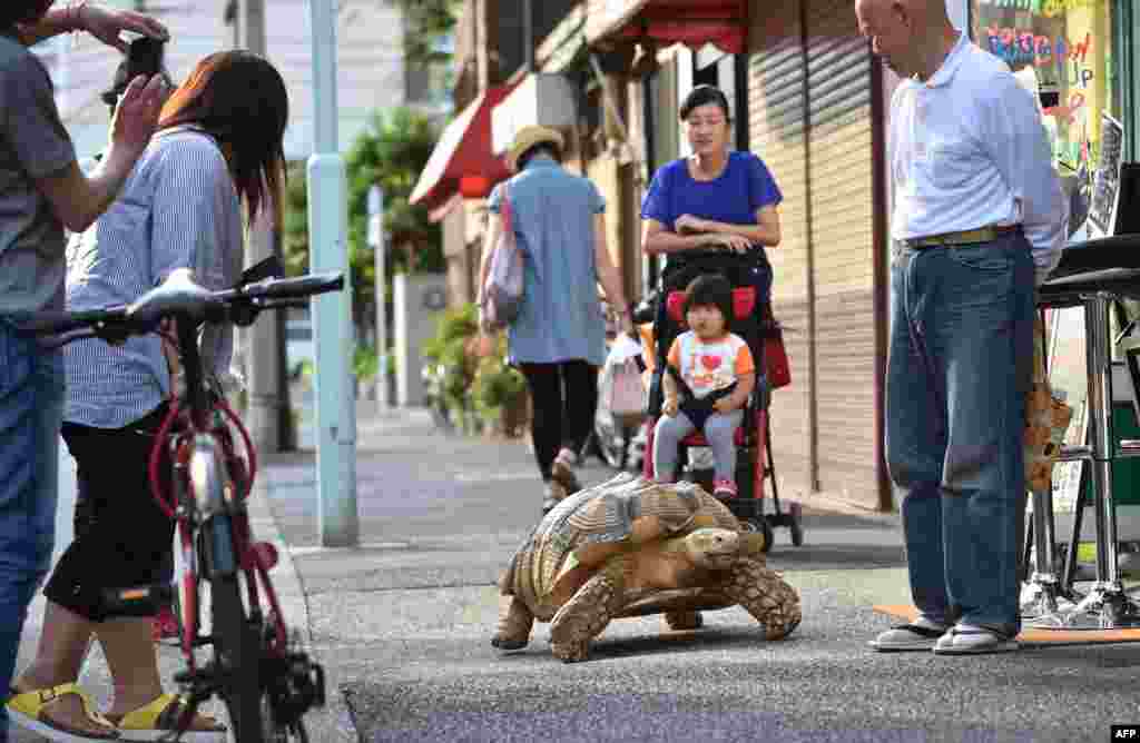 Для местных жителей Бон-чан - ежедневный повод, чтобы улыбаться и выходить на улицу