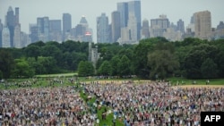 Нью-Йорктун Борбордук паркында адамдар йога менен машыгууда. 25-июнь, 2010-жыл.