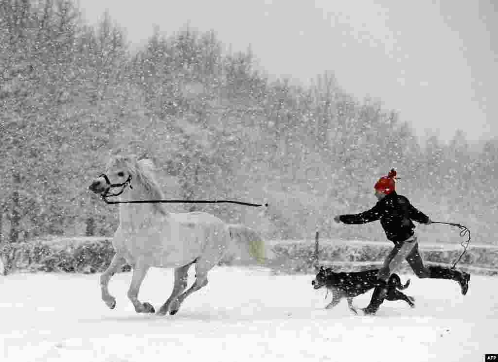 A young girl is pictured with her dog and a pony as it snows near Warsaw, Poland. (AFP/Janek Skarzynski)