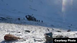 Two slain argali sheep at the site of the fatal helicopter crash in Altai region in January 2009