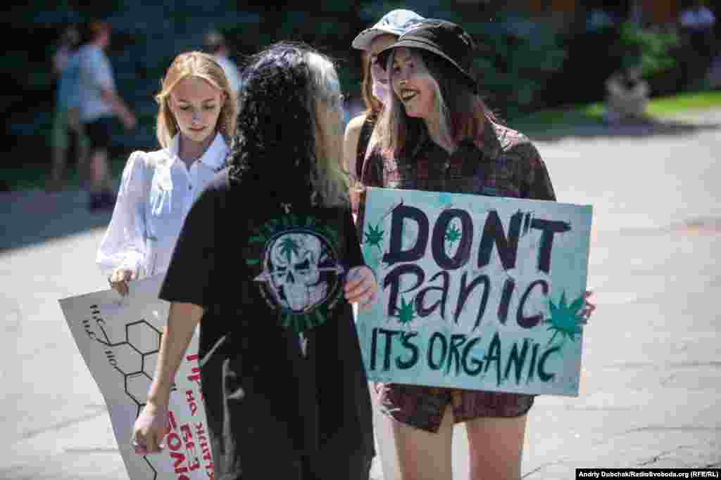 &laquo;Don&#39;t panic it&#39;s organic&raquo;&nbsp;&ndash; жартівливий плакат однієї з учасниць мітингу