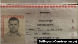 Паспорта Александра Мишкина 