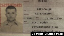 Паспорт Александра Мишкина