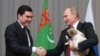 Türkmenistanyň prezidenti Gurbanguly Berdimuhamedow rus kärdeşi Wladimir Putine güjük sowgat berýär. Soçi, 11-nji oktýabr, 2017