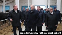 Аляксандар Лукашэнка наведвае кароўнік комплексу «Сьліжы», 26 красавіка