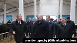 Аляксандар Лукашэнка наведвае кароўнік малочнага комплексу «Сьліжы» ў Шклоўскім раёне, 26 сакавіка 2019 г.