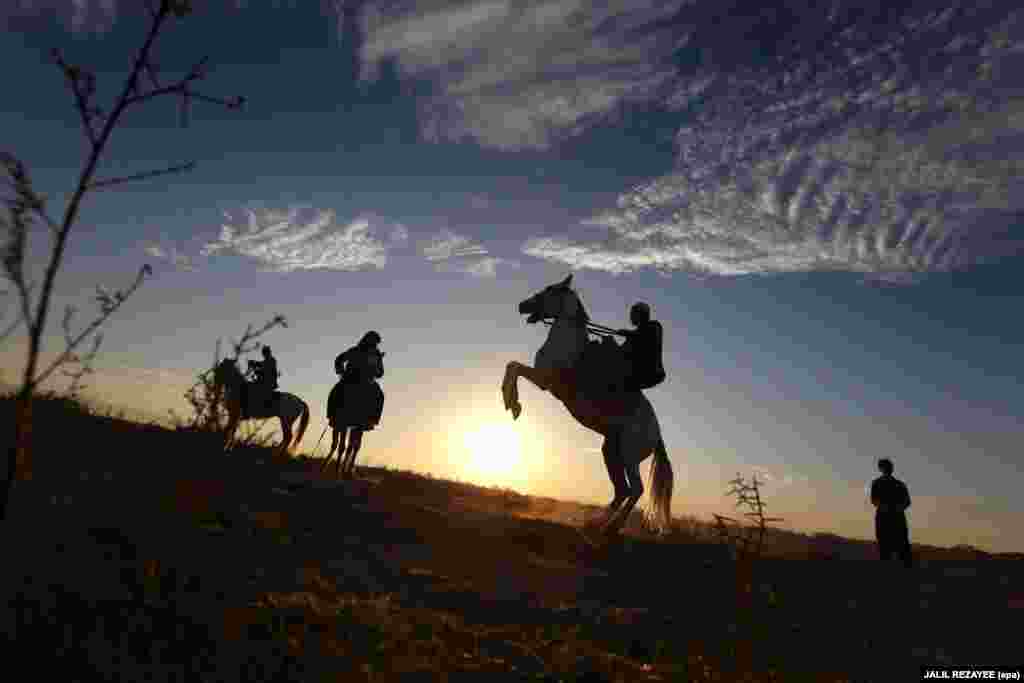Afghanistan - Afghan horsemen take part in a traditional game of Buzkashi in Herat, Afghanistan, 28 November 2015