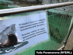 Объявление рядом с вольером сивуча