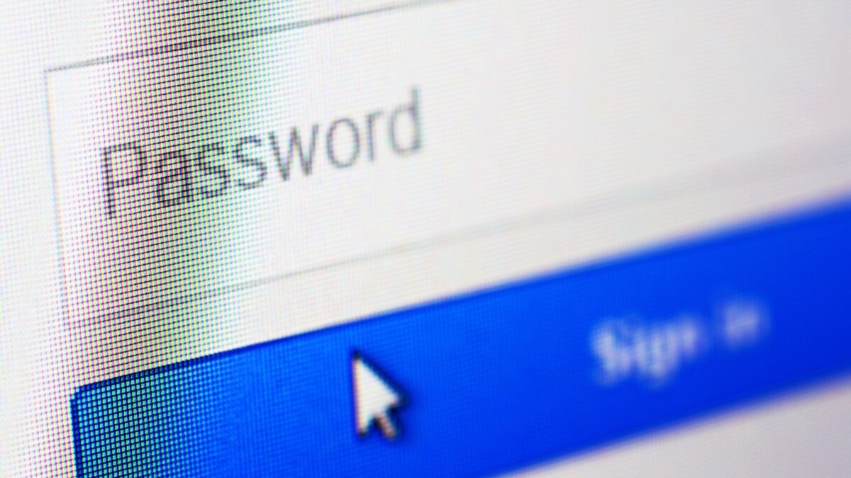 Pangea Guides Login and Navigation