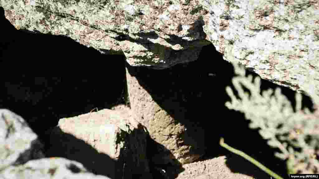 Стелю склепу підпирає вирубана з каменю колона