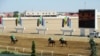 На ашхабадском ипподроме на глазах у зрителей избили лошадь сломавшую ногу