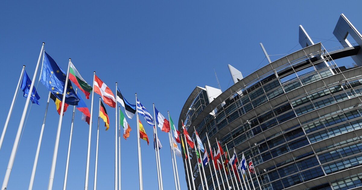 ევროპარლამენტის წევრები ევროკავშირს მოუწოდებენ ბიძინა ივანიშვილისა და ირაკლი კობახიძის დასანქცირებისკენ