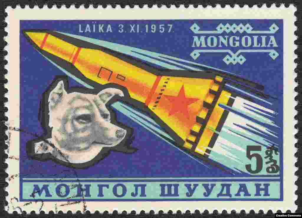 But of all the dozens of dogs that made it up into space, it&#39;s Laika who captured imaginations around the world, and has been remembered in song, film, and postage stamps.&nbsp;