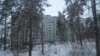 Тольяттинскому лесу угрожает "трасса преткновения"