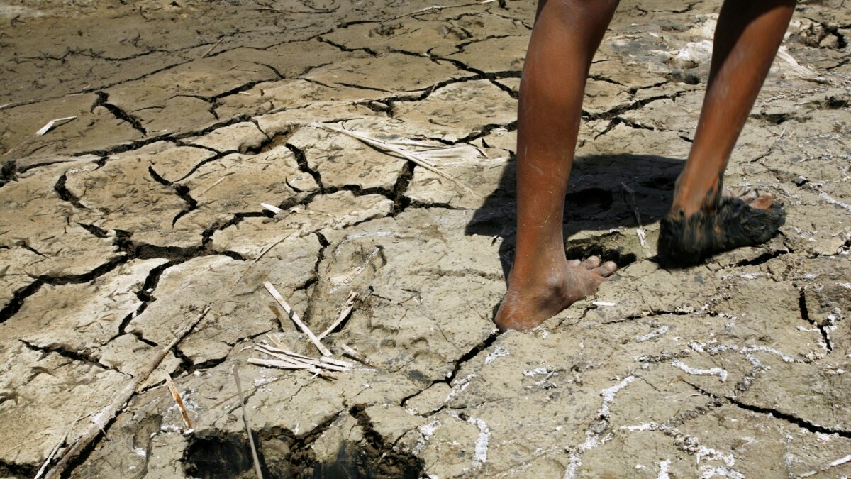 IS 'Water War' Dries Marshes In Southern Iraq