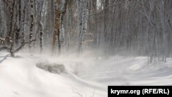 Ілюстративне фото