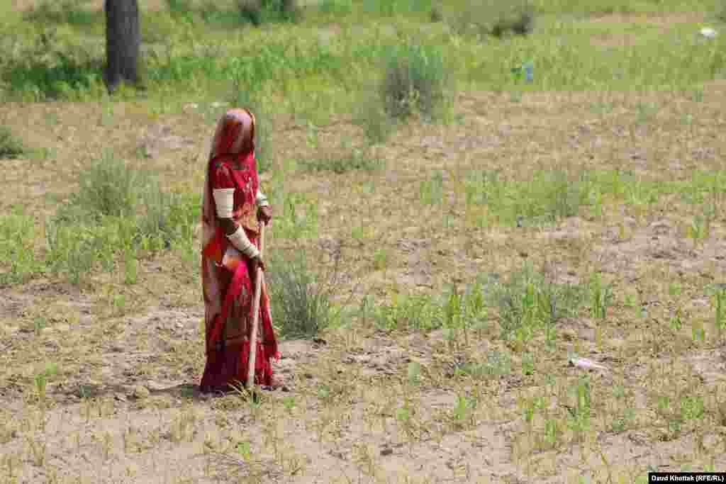 A Hindu woman working in the fields.