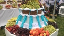 آرشیف، نمایشگاه محصولات زراعتی در هرات