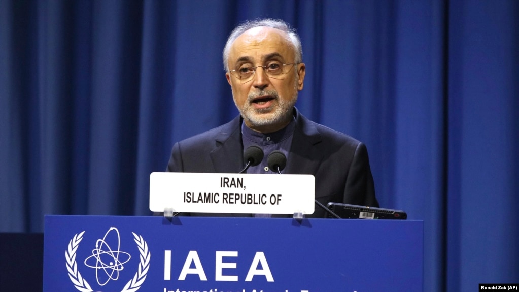 تصمیم به تحریم صالحی و سازمان زیرنظر او می‌تواند روی برنامه غیرنظامی هسته‌ای ایران تاثیر بگذارد.