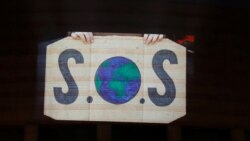 Время Свободы: "Экологию спасет только гражданское общество"