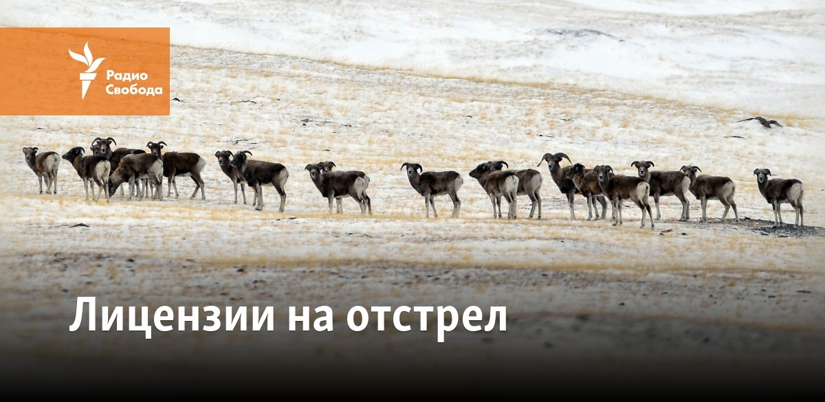Лицензии на отстрел