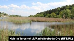 Став, через греблю якого заплановане будівництво дороги для пісковозів. Водне законодавство забороняє будівництво таких доріг через греблі через питання безпеки і екобезпеки.