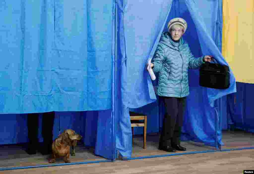 Собака одного з виборців на дільниці у Києві