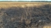 Як інтуїція, селянин і випалене поле допомогли знайти місце пуску ракети по MH17