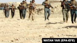 آرشیف: عکس جنبه تزئینی دارد
