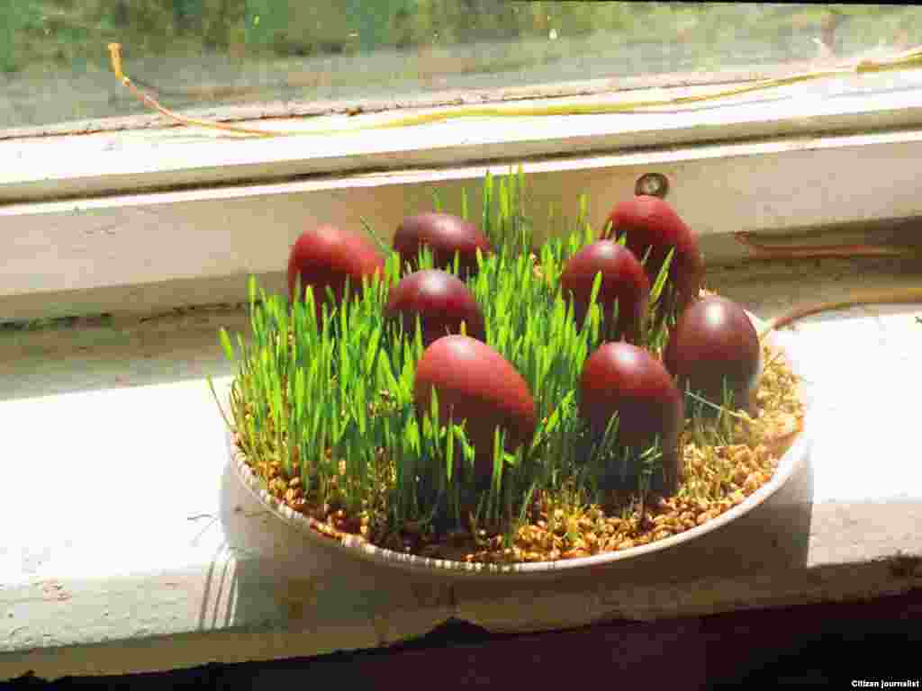 262 რომან სოლოღაშვილი: უსათაურო