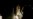 NASA Launches Space Shuttle 'Discovery'