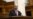 Shmyhal Set To Replace Honcharuk As PM Amid Ukraine Government Shake-Up