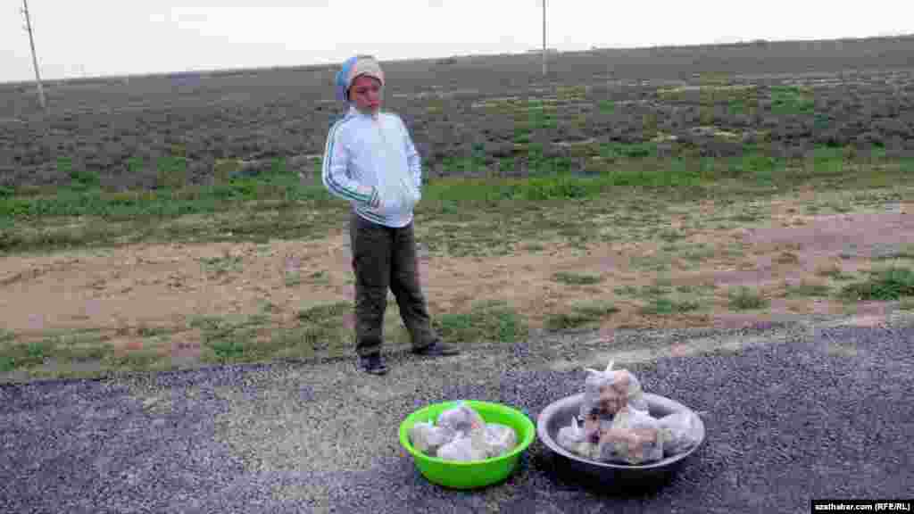 Ahal welaýatynyň Kaka etrabynyň çäginde meýdandan kömelek ýygnap, ony magistral ýoluň ugrunda satmaga çykaran oglanjyk. &nbsp;