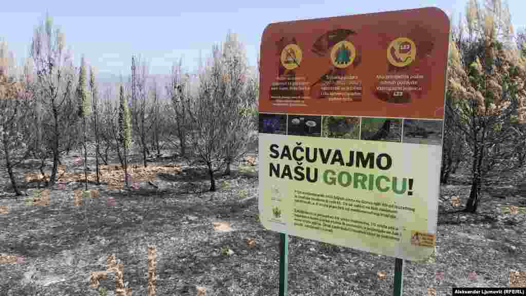 Požar koji je izbio 29. jula pojavio se na više lokacija a razbuktavanju je doprinio i jak vjetar.