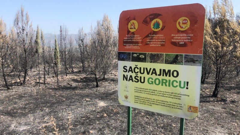 'Pluća Podgorice' poslije požara