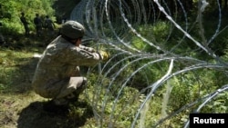 Литовські військові облаштовують огорожу на кордоні з Білоруссю, 9 липень 2021 року