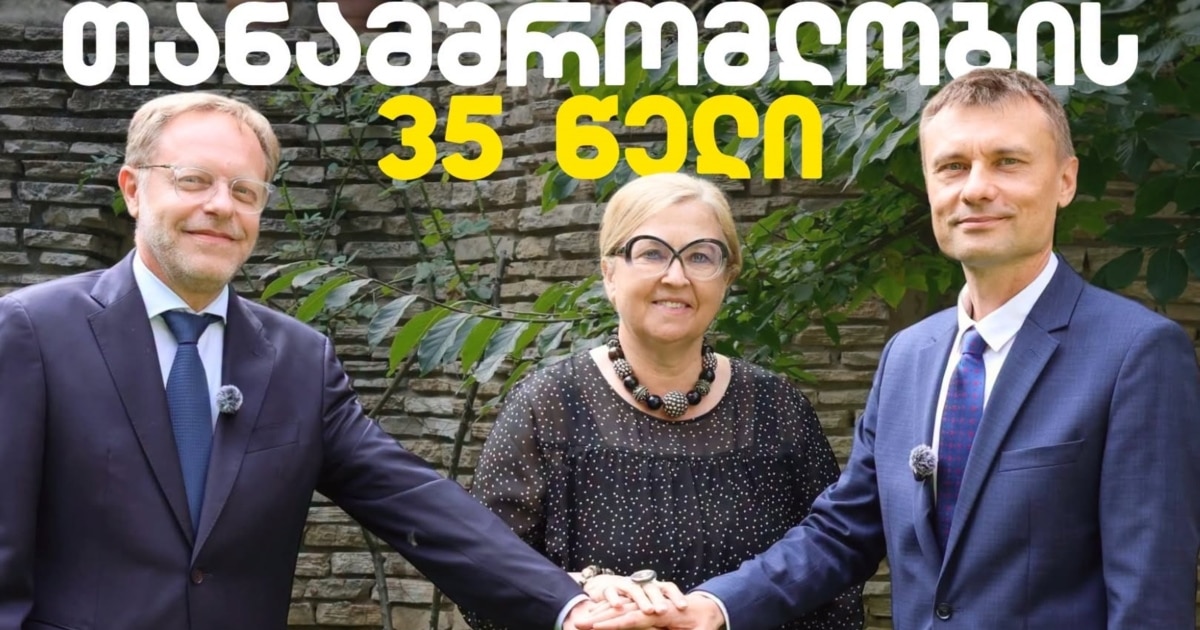 „ვაიმარის სამკუთხედი“: ელჩებმა საქართველოსთან თანამშრომლობის მომავალი განიხილეს