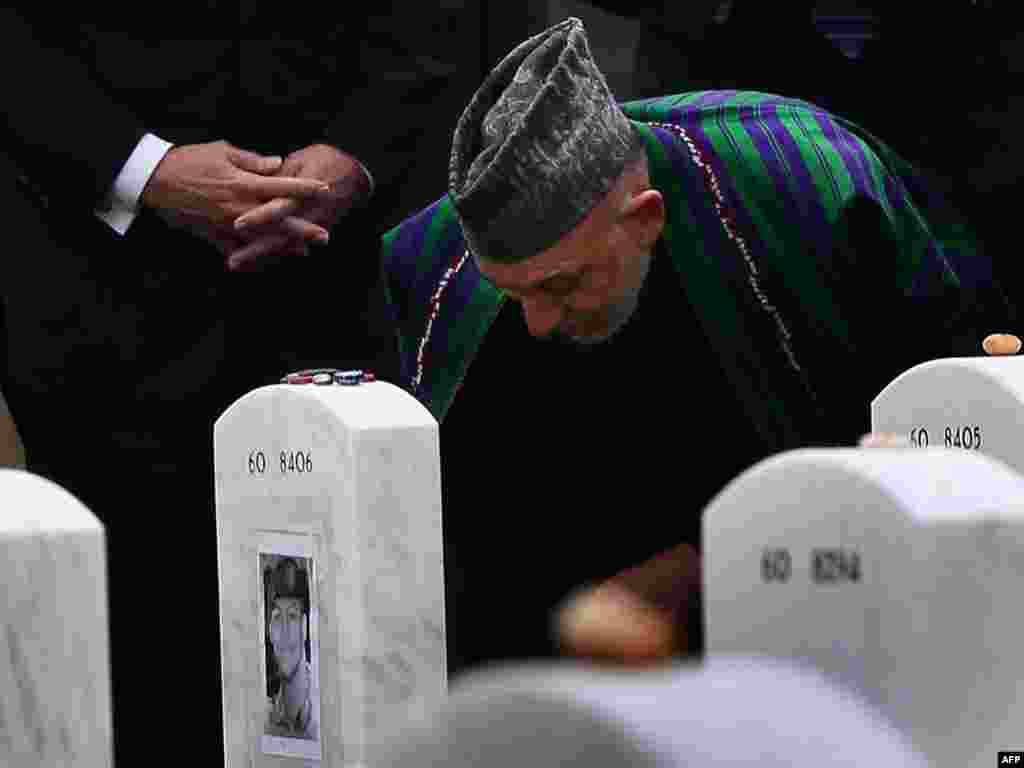 کرزی 2010
