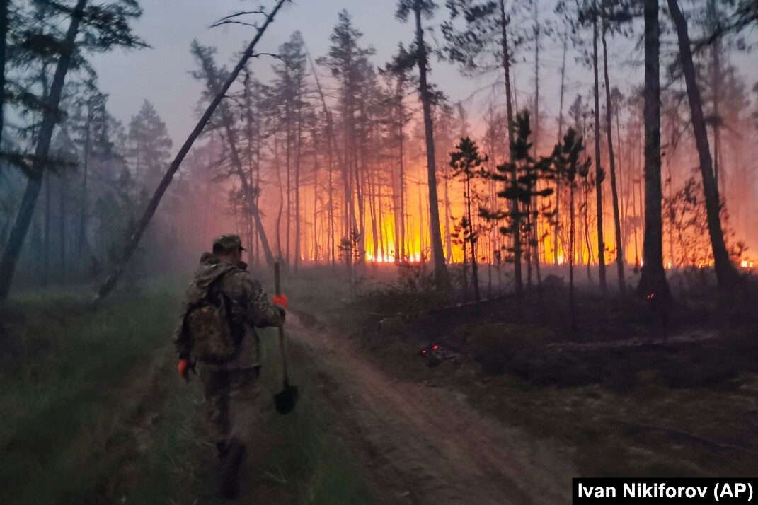 Soul of Siberia　Wild Siberia fired Soul of Siberia Wild Siberia fired Smoke From Siberia