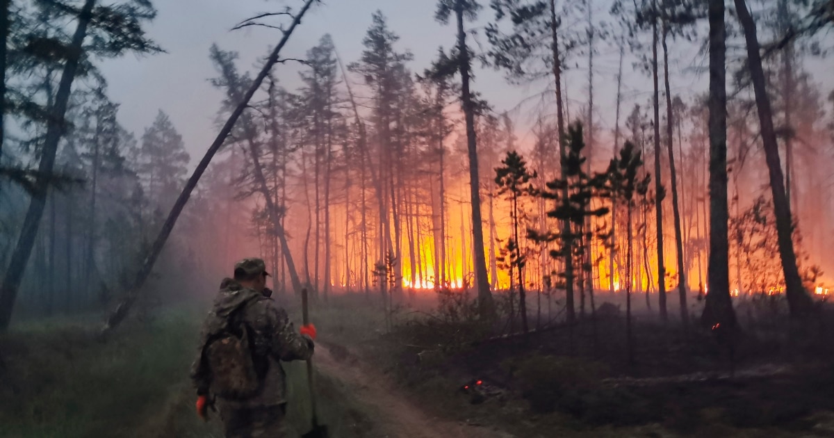 Soul of Siberia　Wild Siberia fired 16Russia-forests1-