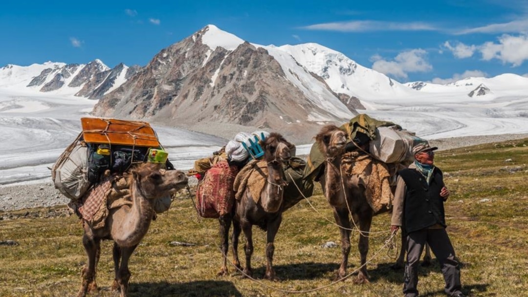Үйдегі ересектерге арналған жаңа бейне