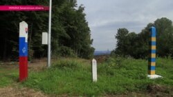 Трансграничные браконьеры: словаки рубят украинский лес