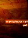 د پښتورګي خرڅلاو؛ د ژوندي پاتې کېدو بیه