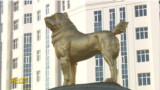 Turkmenistan. President Berdymukhamedov unveils golden monument to Alabai dog in Ashgabat. November 2020